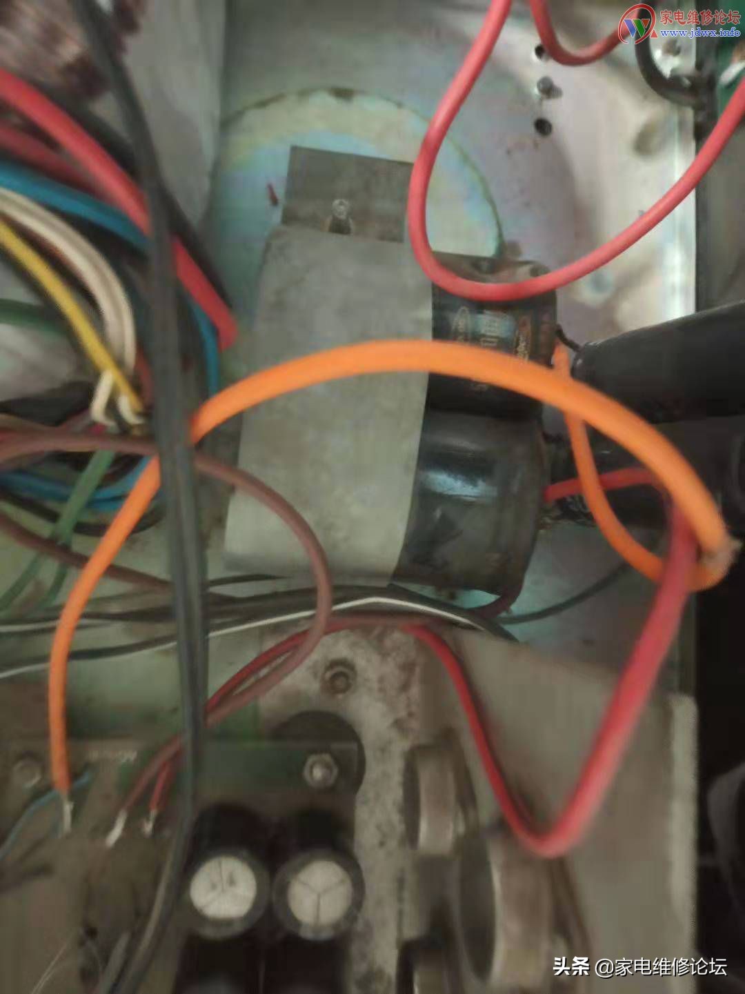 绔嬬櫧鍔熸斁,绔嬬櫧鍔熸斁鎺ㄨ崘