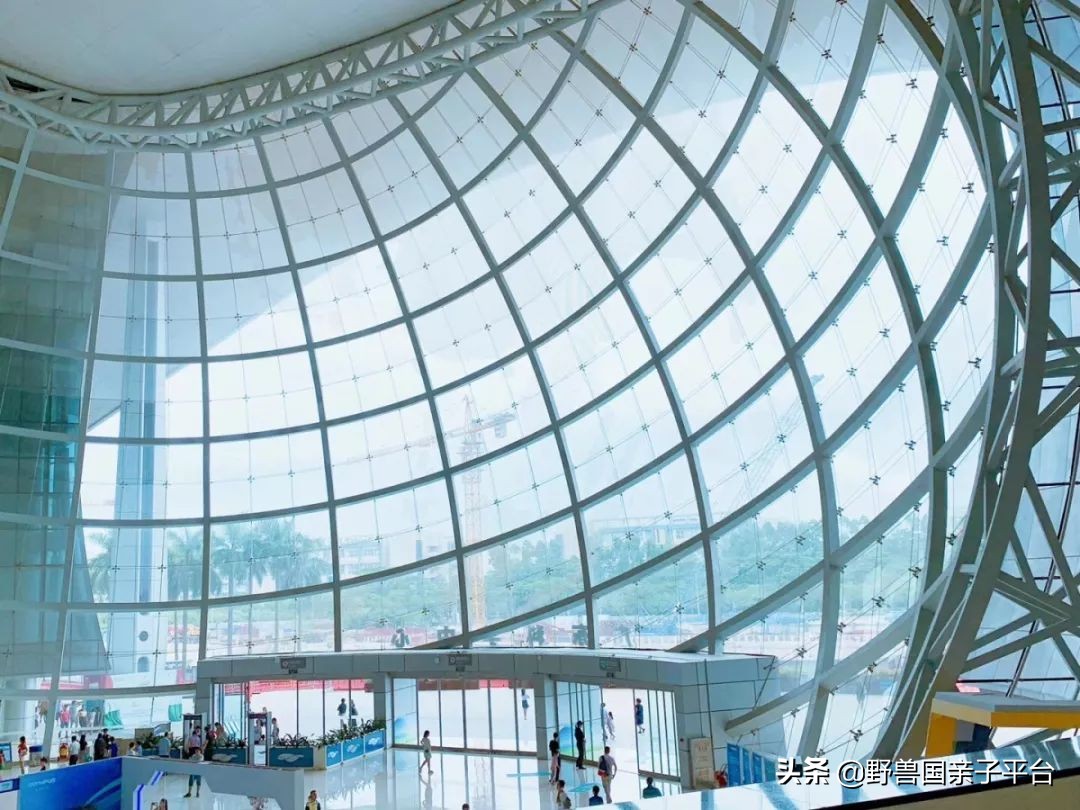 广州遛娃旅游推荐路线攻略,广州遛娃清单升级版