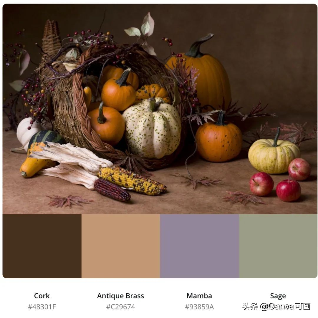 秋天配色插画秋高气爽,秋季高清插画