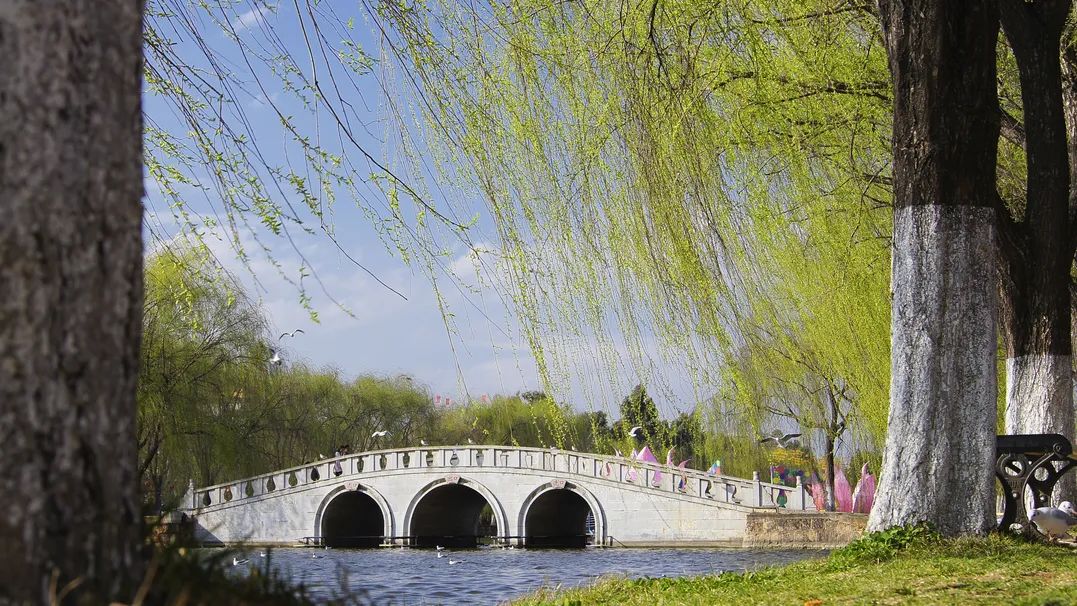 含有春字的诗句飞花令100首,春字飞花令100首五言绝句