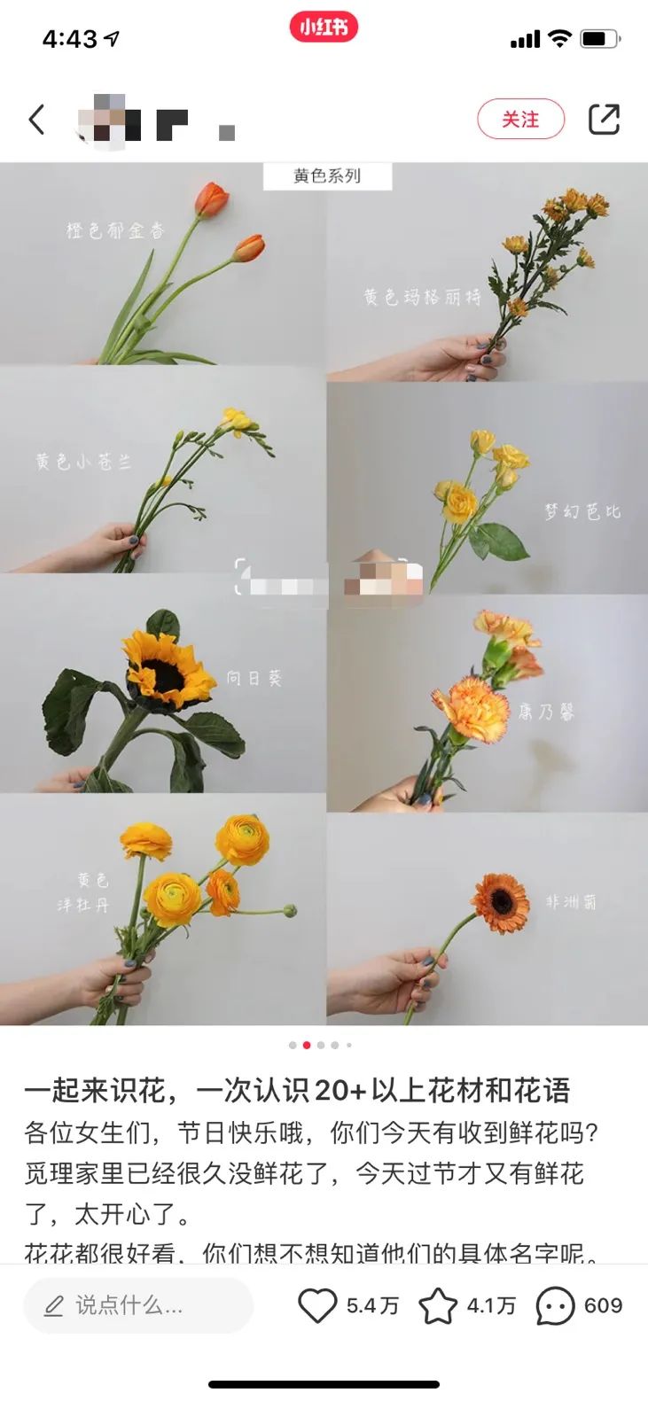 怎么开始学做鲜花生意,做鲜花生意要怎么去提升呢