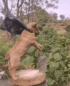 二次元中的“软色情”：无法量化的概念，无法量化的潜在危害性