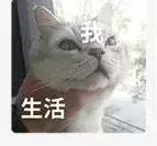 有没有发错微信给老板,错把消息发给老板