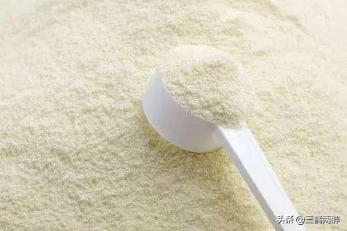 格力犬怎么可以让它爆发力好,养宠经验分享