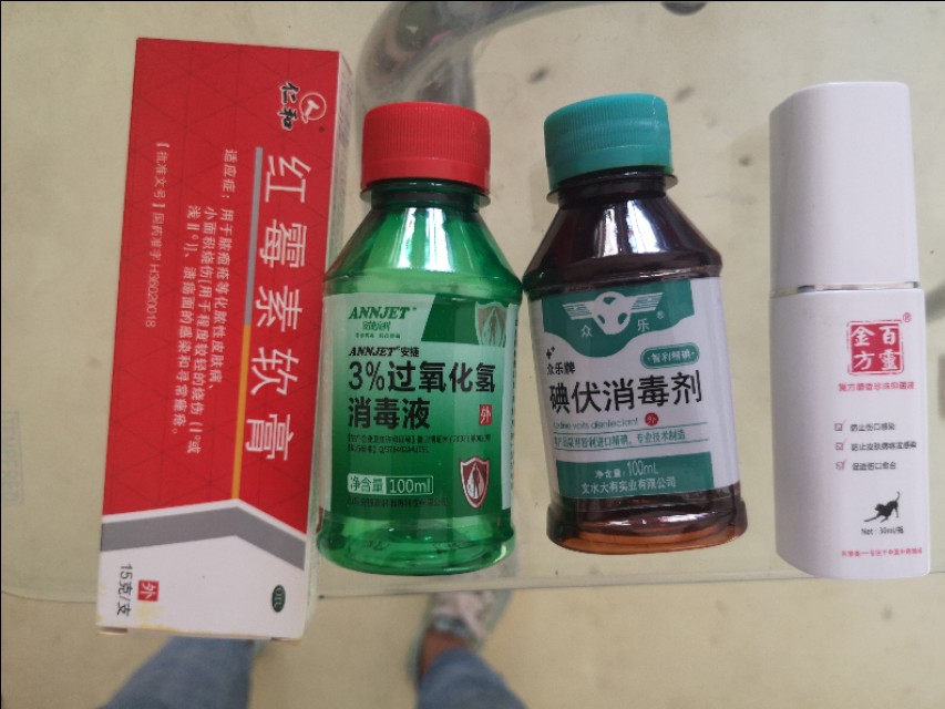 母猫剖腹产绝育脂肪液化是什么样,母猫绝育后脂肪液化图片
