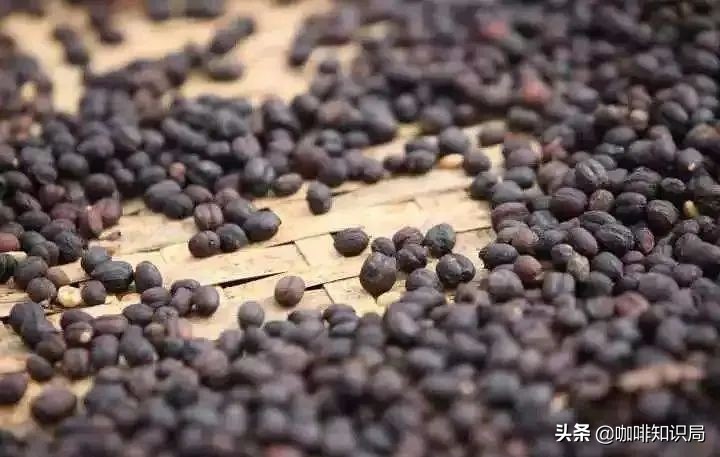 缅甸咖啡豆特点,缅甸咖啡特点