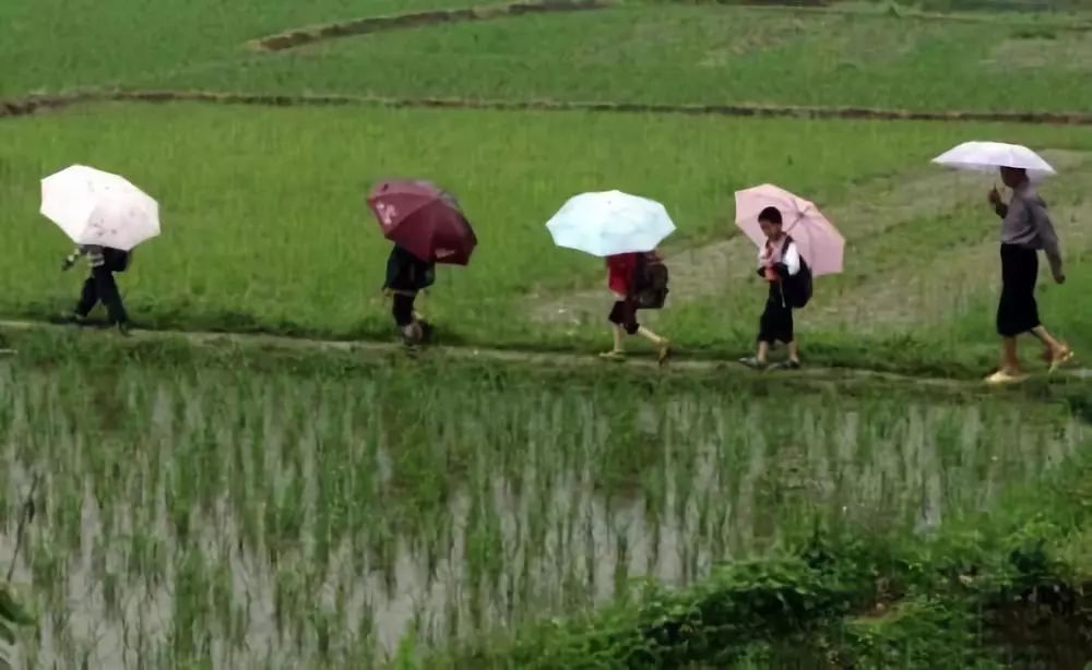 走遍天涯思故乡,走遍天涯是什么歌