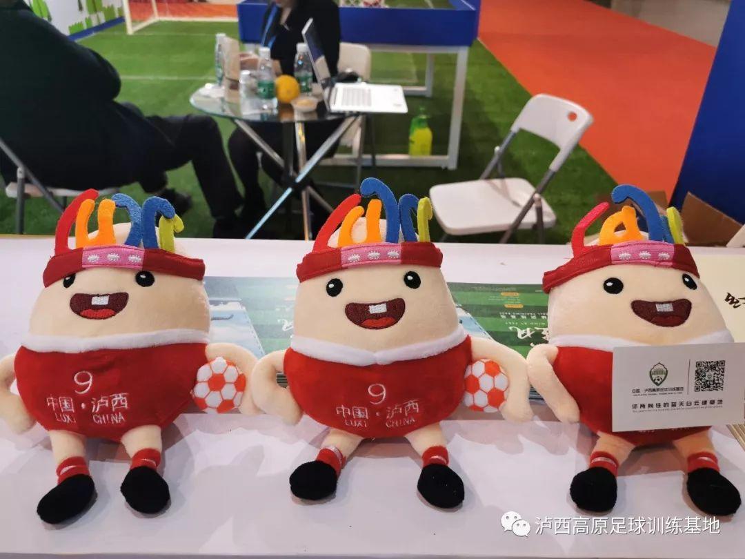 泸西高原足球训练基地,航拍泸西高原足球训练基地