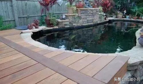 养锦鲤十大忌讳鱼池,养锦鲤最忌讳8件事