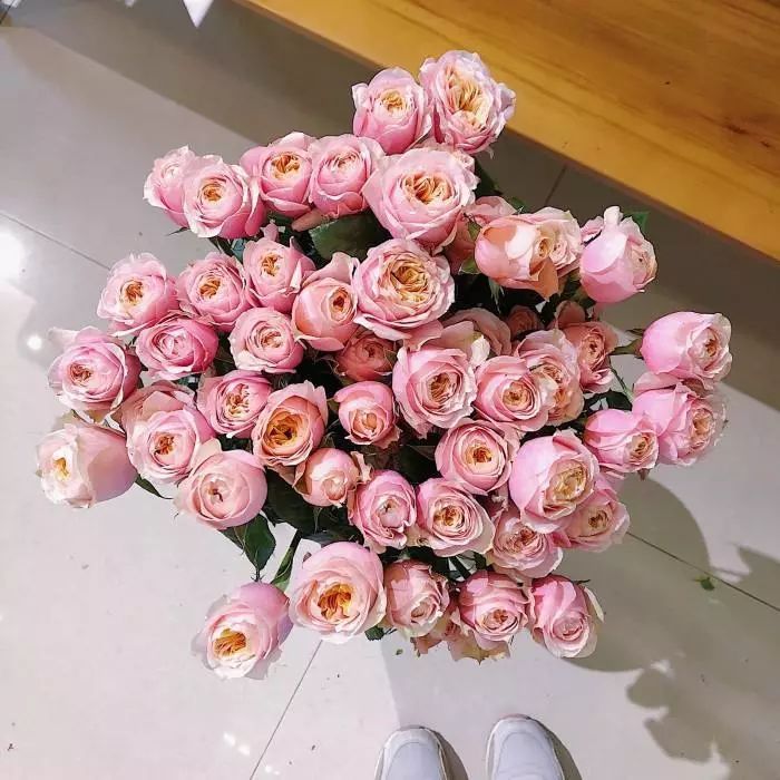 花店必备的5款玫瑰,花店最常用什么品种的玫瑰花