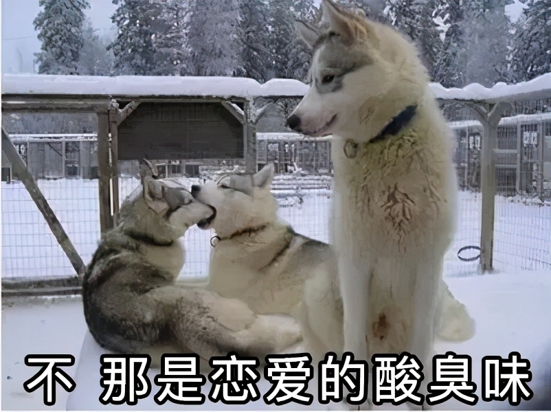 情侣大床房还是双人床,情侣住酒店该不该住大床房