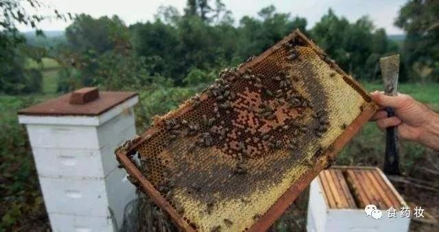 蜂蜜知识与作用是什么,怎么通过营养表分辨蜂蜜优劣