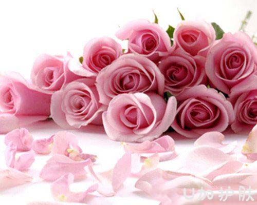 玫瑰美白嫩肤精油的调制教你如何自己调制喜欢的