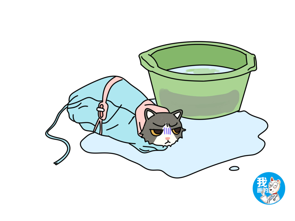 猫咪身上有跳蚤驱虫后要洗澡吗,猫咪身上有跳蚤有什么办法