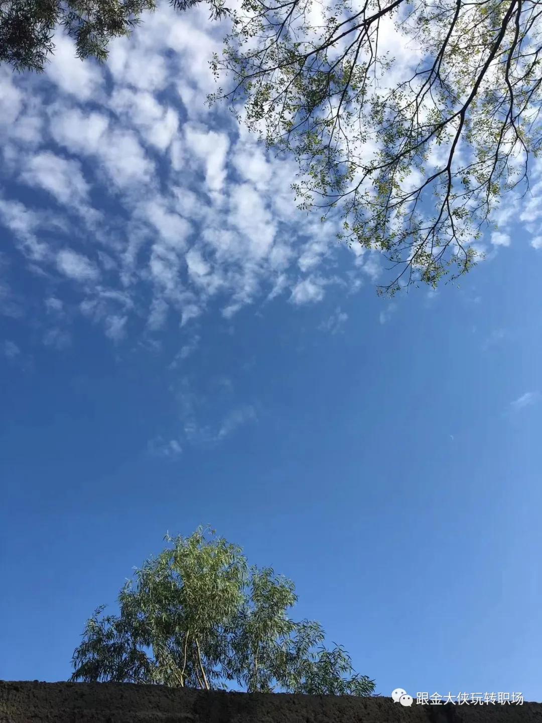 危机公关案例：杏子林叛乱乔峰过了第一关，为何过不了第二关贰