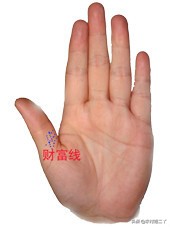 八分钟教你看手相,看手相学习好看哪根线