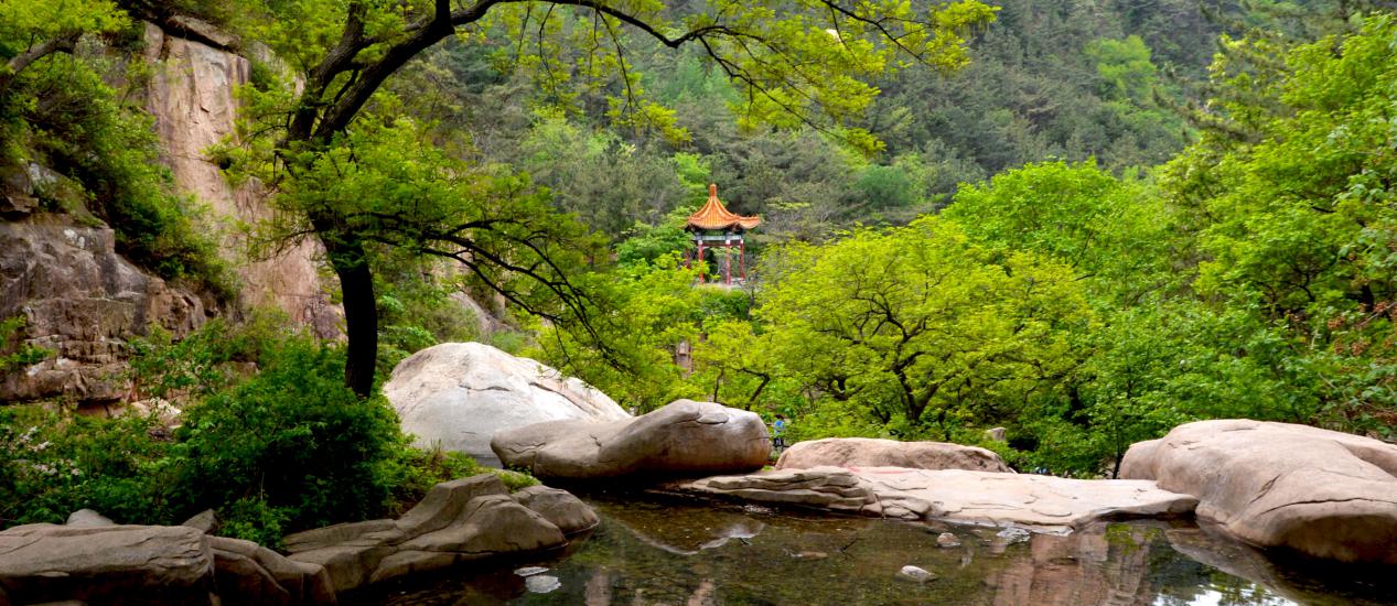 全聚德酱鸭怎么样,全聚德又贵又不好吃