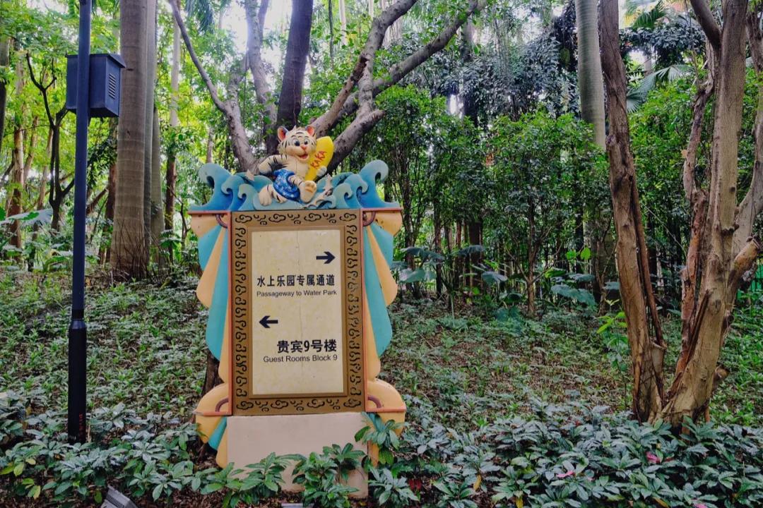 广州长隆攻略注意事项,广州长隆优惠攻略