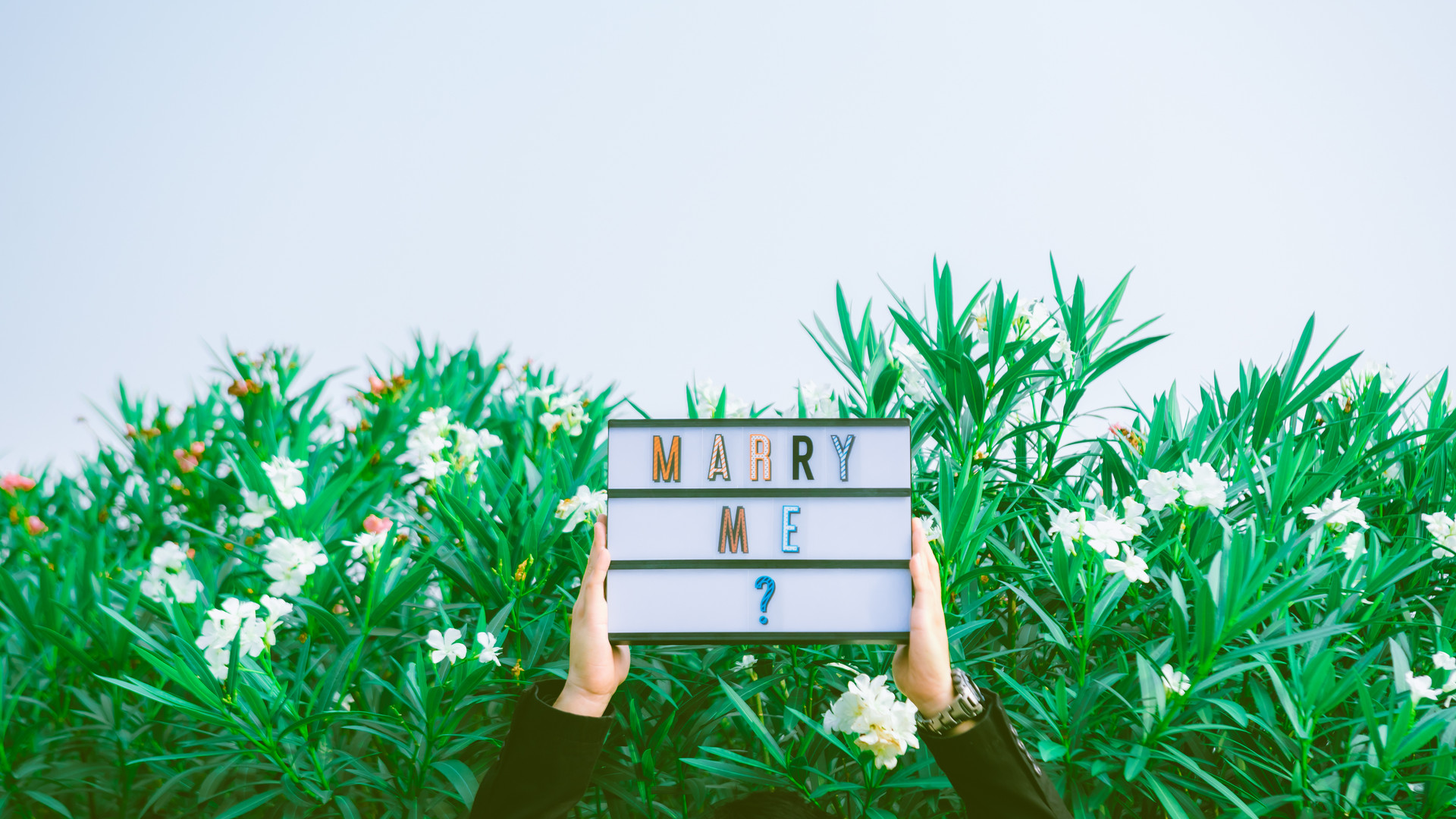 怎样不动声色的吸引喜欢的人,不动声色的吸引一个人