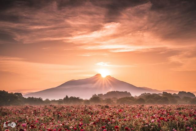 小说：她喜他归来，闲聊时知他伤一人，不料那人背景很大
