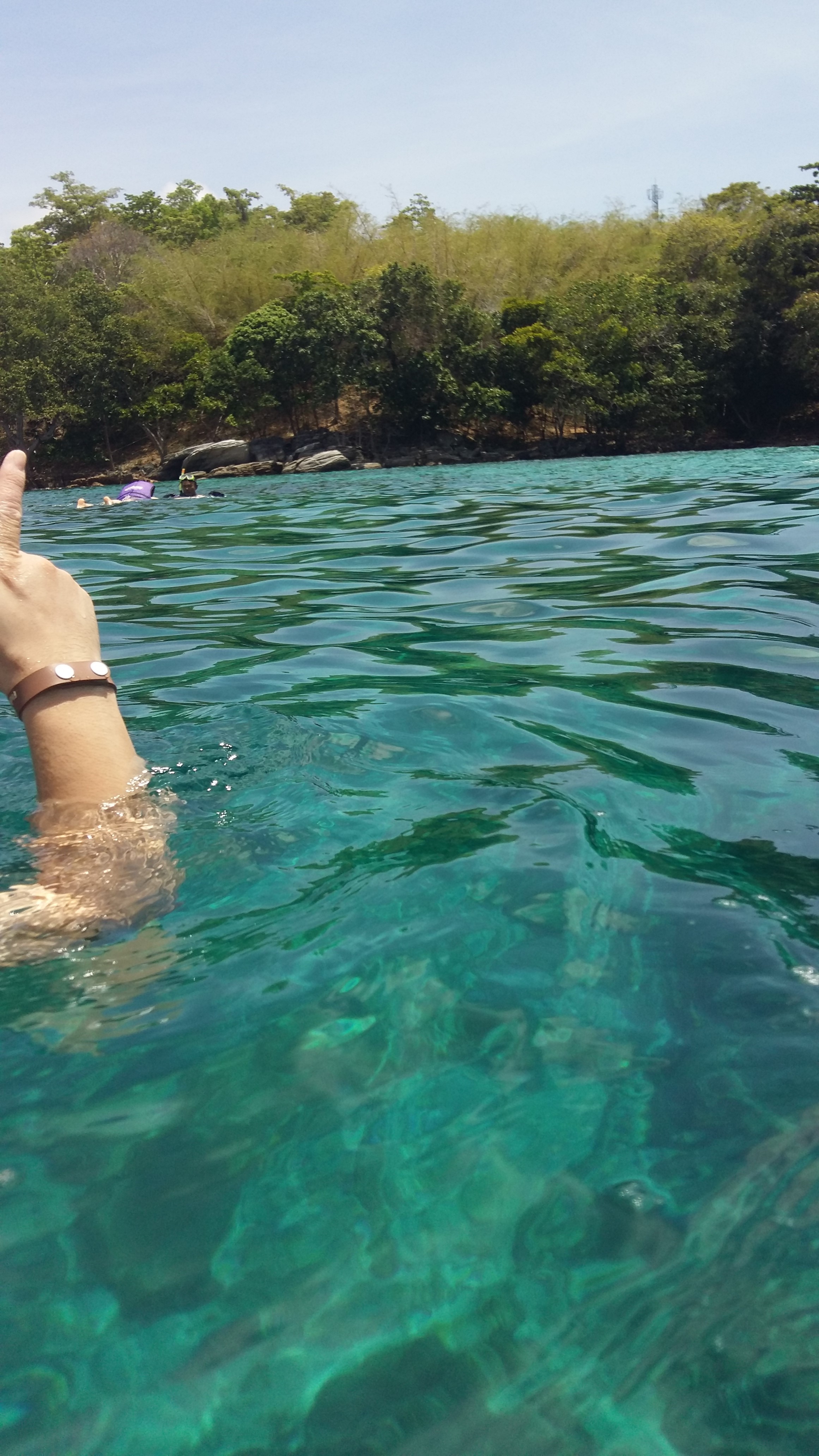 在普吉岛浮潜拍到的美妙海底世界 (普吉岛cape panwa hotel浮潜)