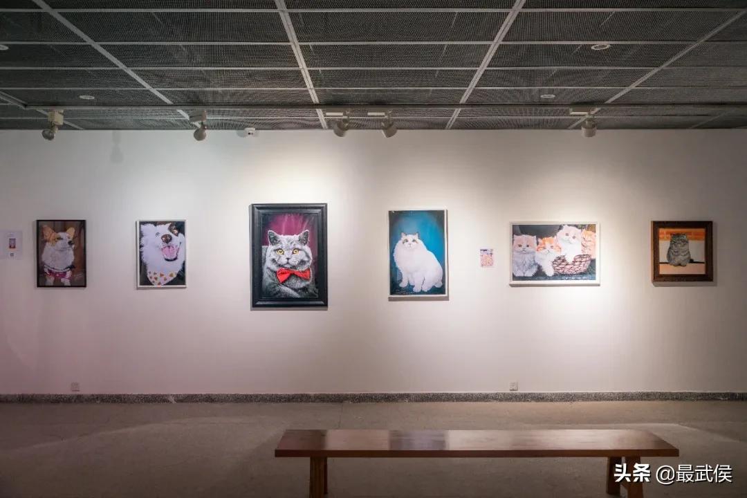 超便宜！成都铁轨下的花市5元买回一个春天！