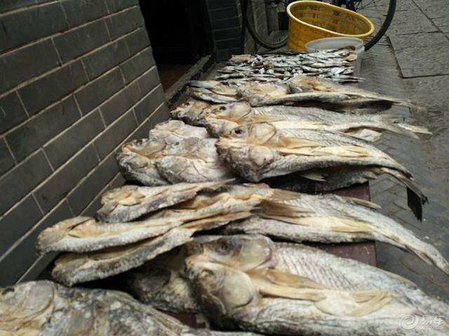 微山湖南阳镇有什么好玩的,微山岛南阳湖自驾一日游攻略