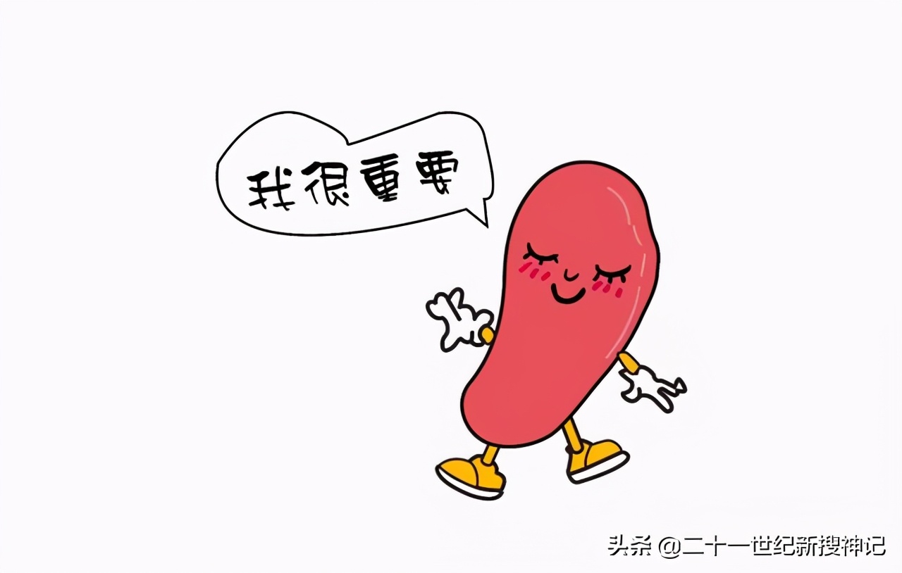 性命之谜(廿四)脾脏:五脏中的小透明,却有大名鼎鼎的神灵代表