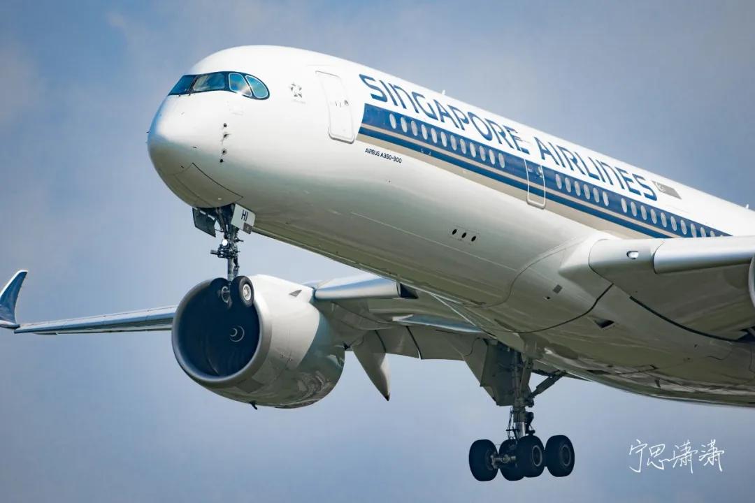 佳能全画幅微单是什么卡口,佳能rf卡口镜头今年还会出吗