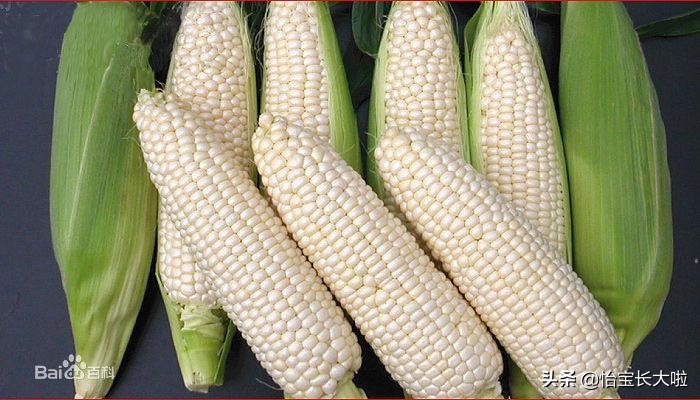 贵州包谷饭不用甑子怎么做,贵州特产高山低脂粗粮包谷饭