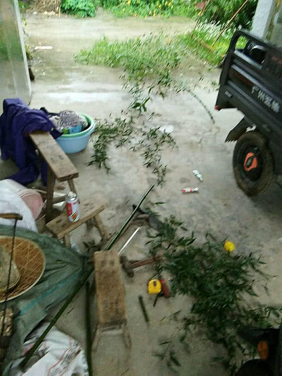 用竹子做鱼竿去小河钓鱼,日本自制竹子鱼竿过程视频