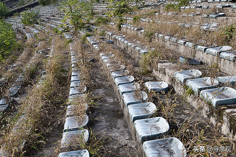 重庆力帆足球最近的消息,重庆力帆足球俱乐部现状