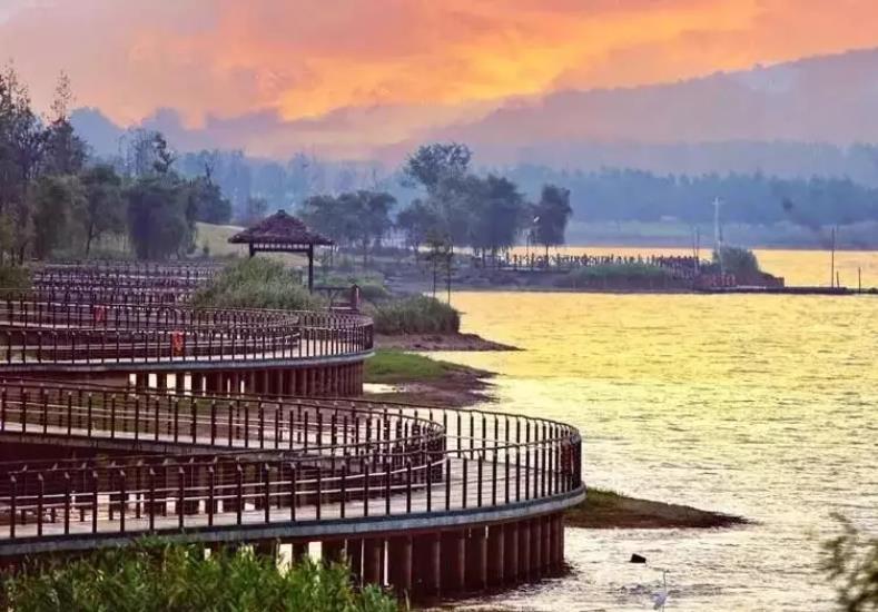 禹洲金陵朗廷精装房,禹洲金陵朗廷房源