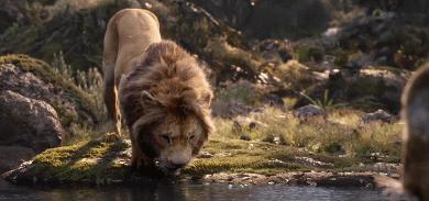 狮子王哪个版本最好看,狮子王好不好用