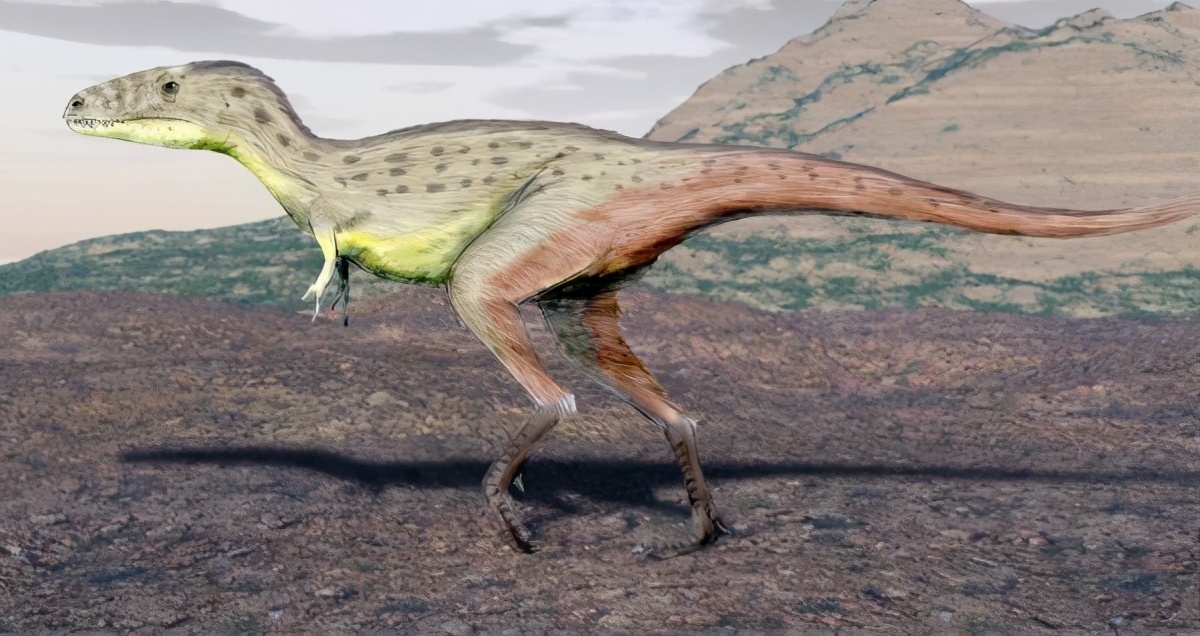 几种可以瞬间秒杀霸王龙的恐龙,各种各样的恐龙和霸王龙