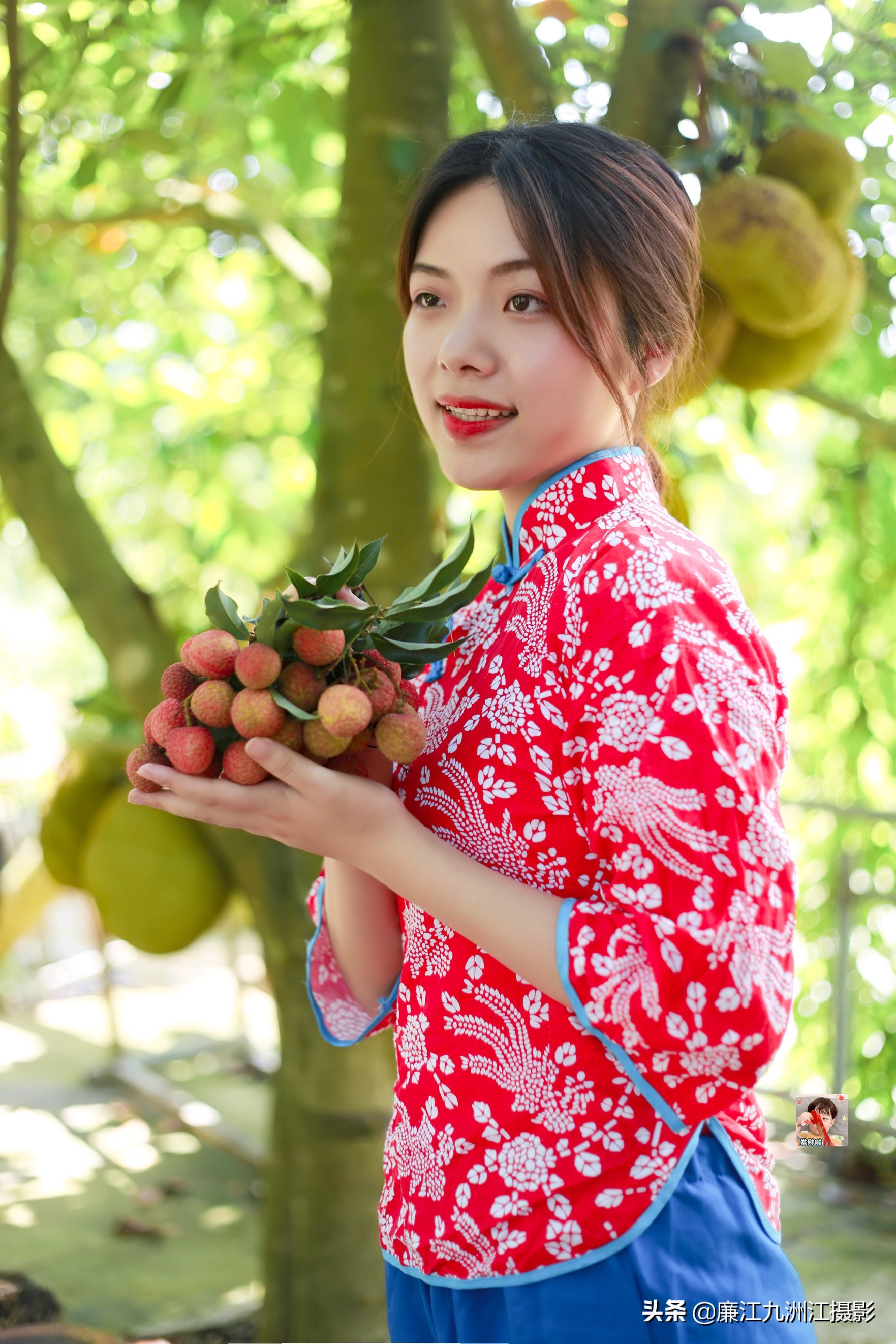 湛江市廉江荔枝节开幕式视频,廉江荔枝文化节