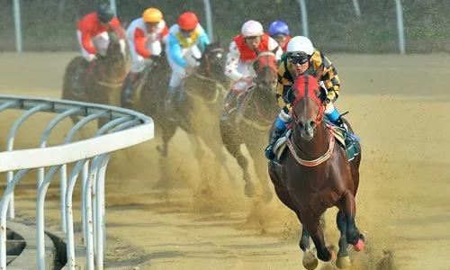 武汉要发行赛马彩票，这次有没有戏？