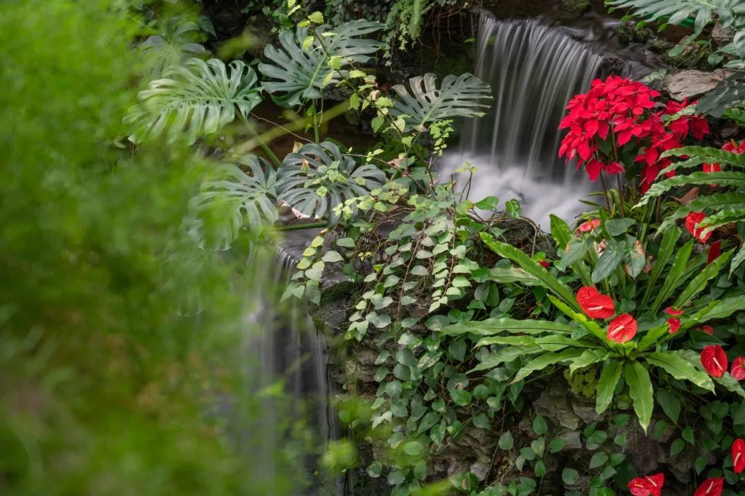 索尼fe24-105mmf4goss价格,索尼fe24-105mmf4能在尼康上用吗