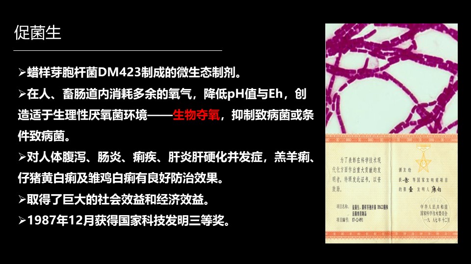 肠道菌群最新科研进展,肠道菌群与疾病的研究进展