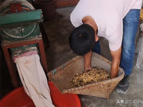 农村现在挣钱的门路有哪些,农村赚钱三个门路