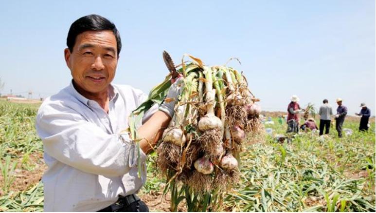 农产品期货市场具有哪些功能,我国农民如何利用农产品期货