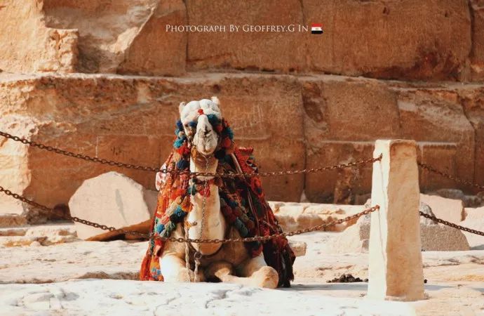 包机直飞埃及旅游,杭州可直飞开罗吗