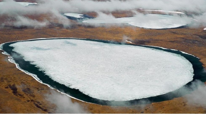 猛犸象牙携带远古病毒,猛犸象牙有远古病毒吗