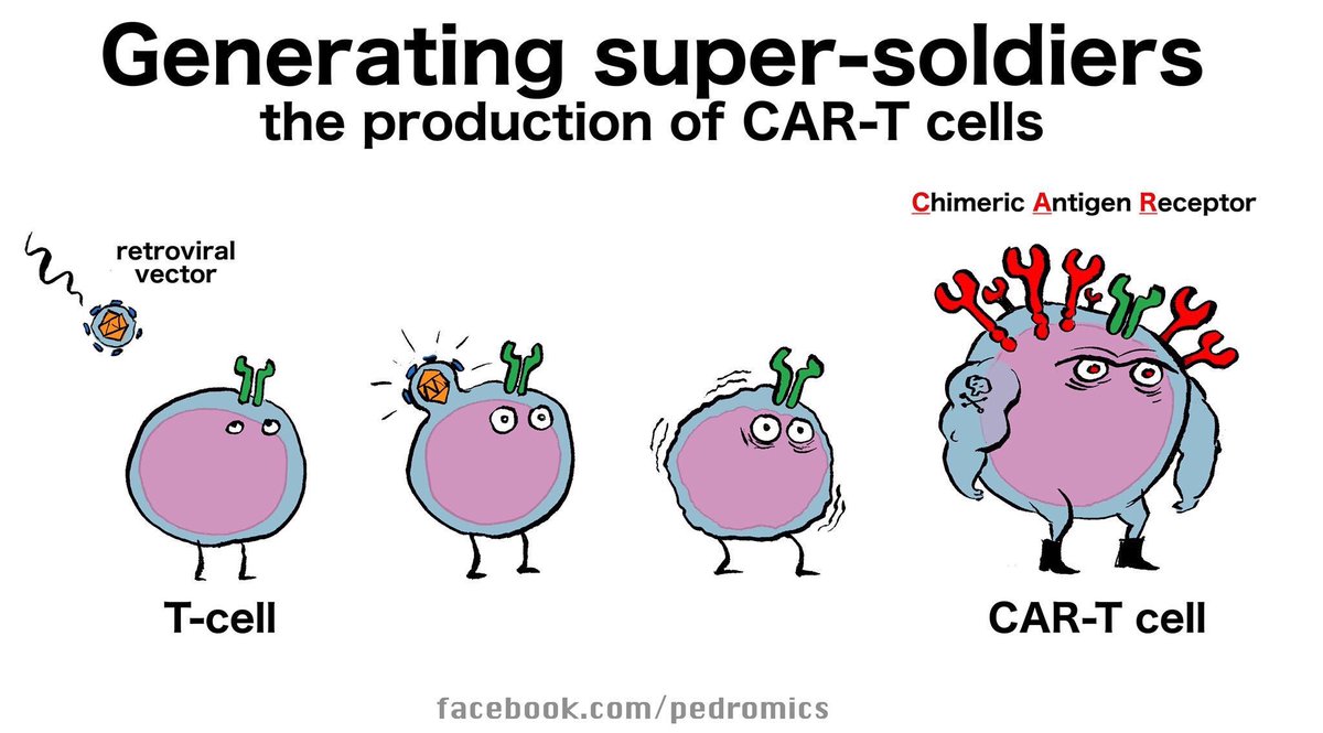 儿童白血病怎么治疗效果最好,为什么儿童白血病治疗效果比较好