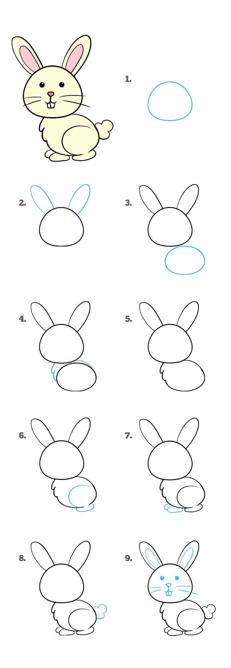 可爱的动物怎么画卡通简单又漂亮,画简单可爱的卡通动物教程