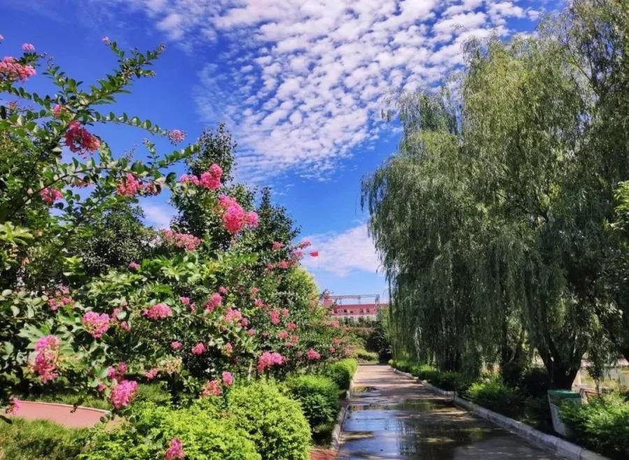 西南高职学校一览表,四川单招汽车类招收院校