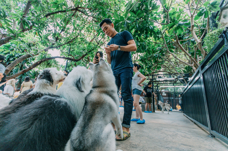 多次曼谷，整理了这份美食攻略，曼谷怎么吃，戳进来
