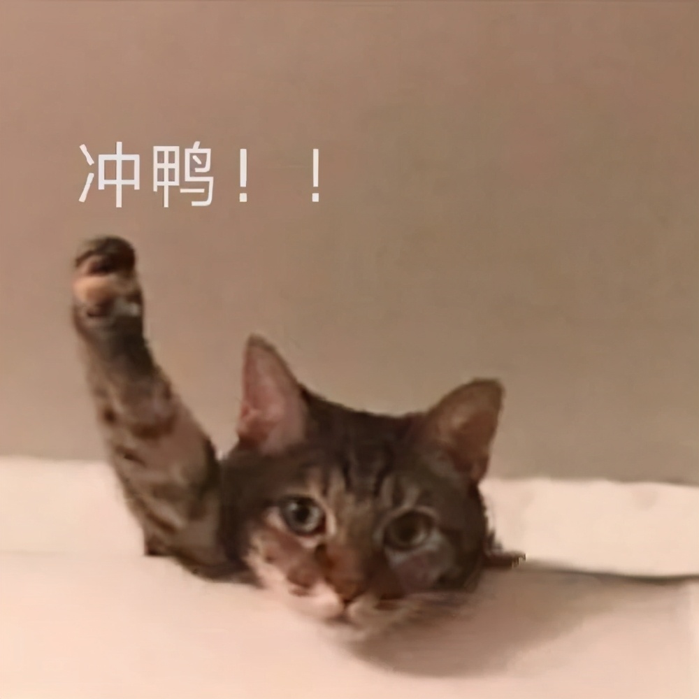 去新西兰创业做什么,在新西兰创业做什么