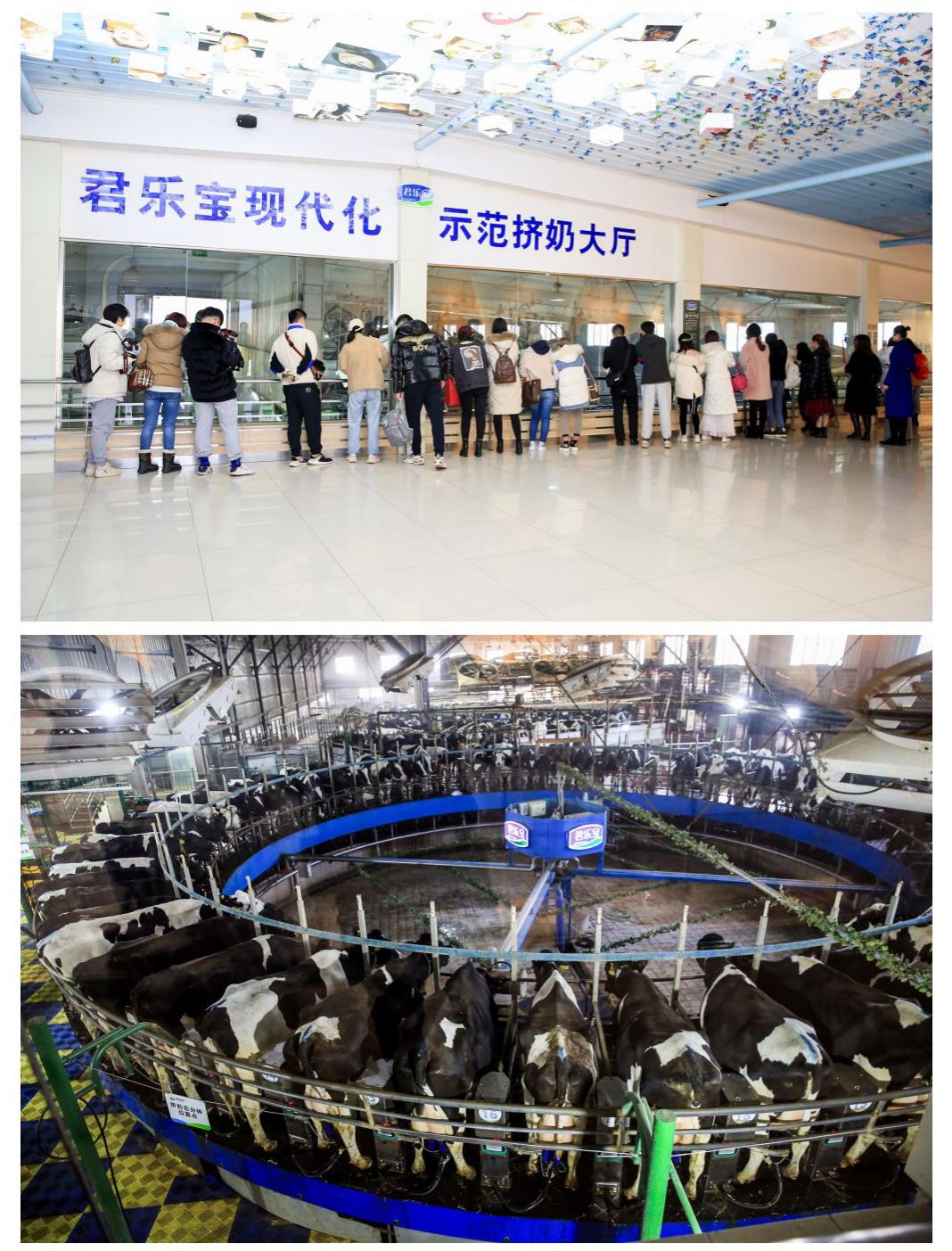 打破海外垄断,打破欧美巨头垄断实现进口替代