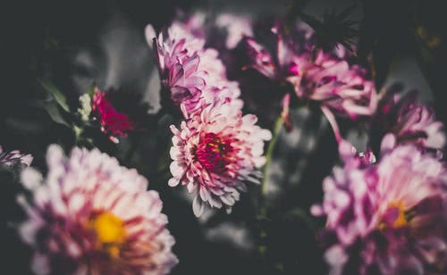 跟喜欢的人告白失败,为什么觉得跟喜欢的人表白失败了